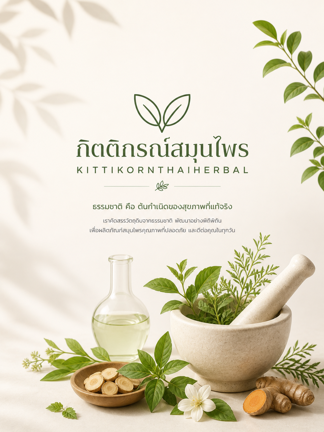 productkittikorn