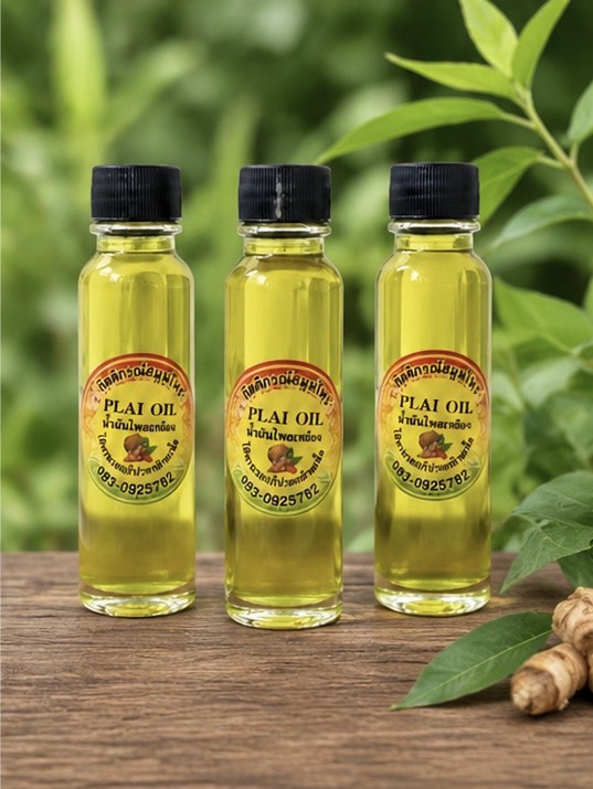 เซ็ตน้ำมันไพลเหลือง (plai herbal oil set) เซ็ตน้ำมันไพลเหลือง (plai herbal oil set)