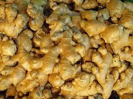 ไพลเหลือง ไพลเหลือง4